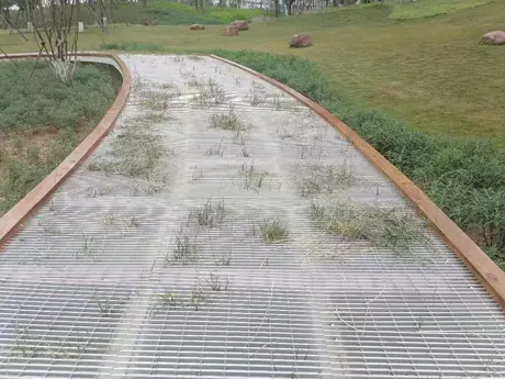 Park Trail 1