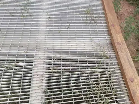 Park Trail 2
